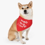 Personalised Pet bandana | Naughty Nice I Tried pet Bandana Collar