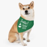 I know Santa Christmas Pet Bandana Collar