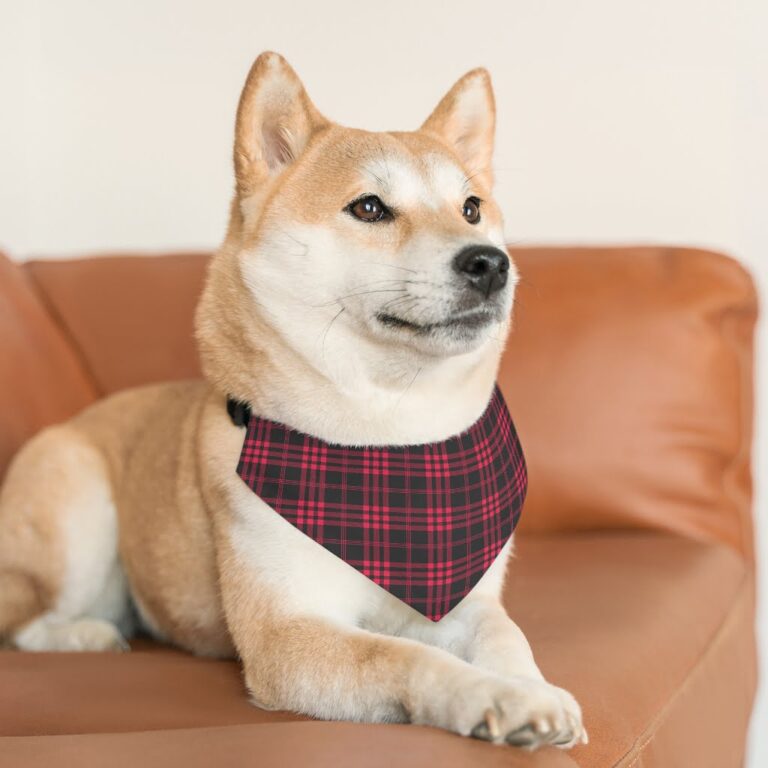 Personalised Pet bandana | Checkered Pet Bandana Collar