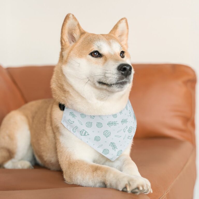 Personalised Pet bandana | Naughty Nice I Tried pet Bandana Collar
