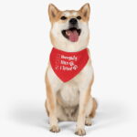 Personalised Pet bandana | Naughty Nice I Tried pet Bandana Collar