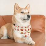 Personalised pet bandana collar
