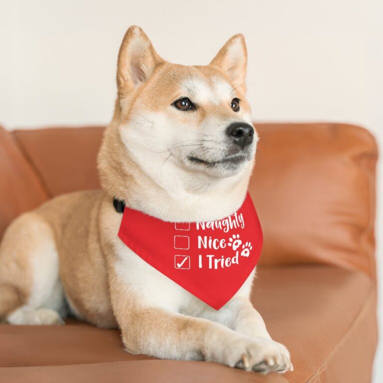 Personalised Pet bandana | Naughty Nice I Tried pet Bandana Collar