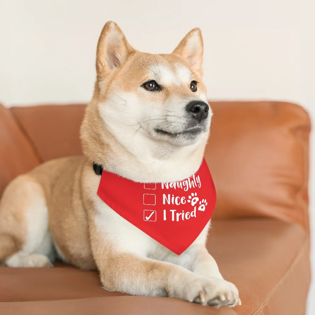 Personalised Pet bandana | Naughty Nice I Tried pet Bandana Collar