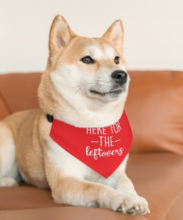 Here For The Leftovers Pet Bandana Collar