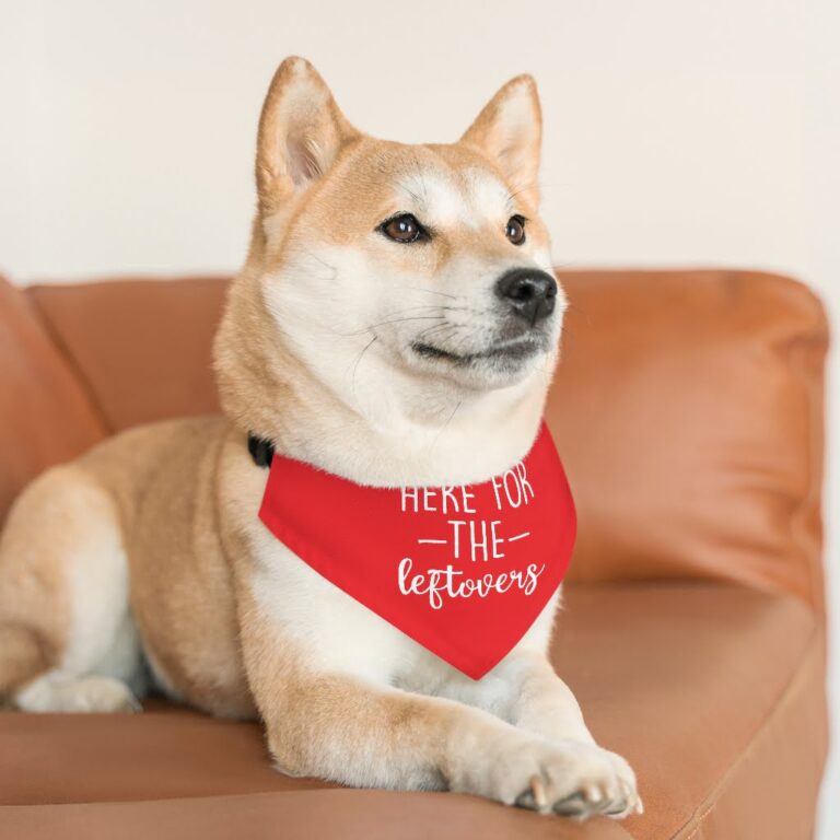 Here For The Leftovers Pet Bandana Collar