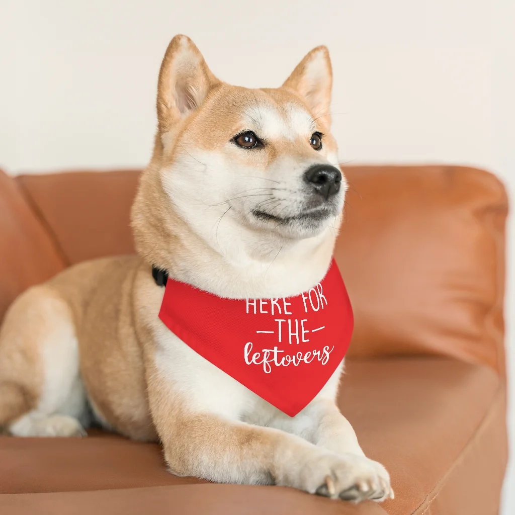Here For The Leftovers Pet Bandana Collar