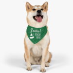 I know Santa Christmas Pet Bandana Collar