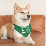 I know Santa Christmas Pet Bandana Collar