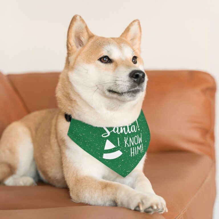 I know Santa Christmas Pet Bandana Collar