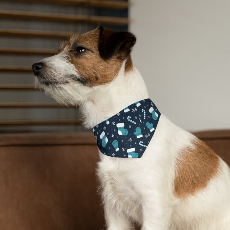 Personalised Pet bandana | Blue Whale Pet Bandana Collar Socks and Candy