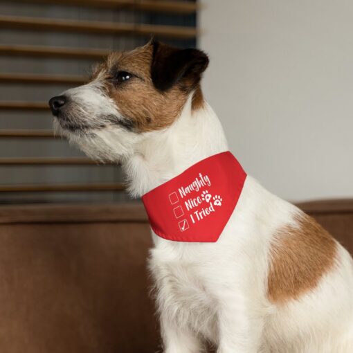 Personalised Pet bandana | Naughty Nice I Tried pet Bandana Collar