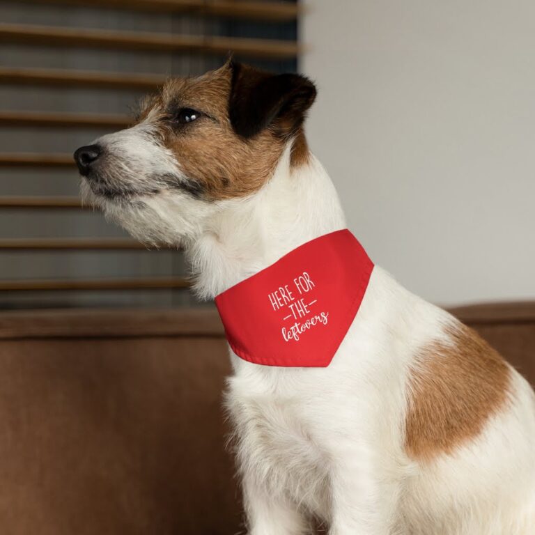 Here For The Leftovers Pet Bandana Collar