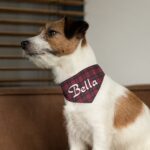 My First Christmas - Pet Bandana Collar