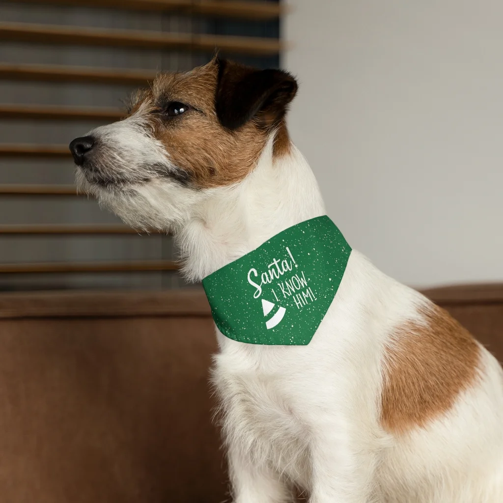 I know Santa Christmas Pet Bandana Collar
