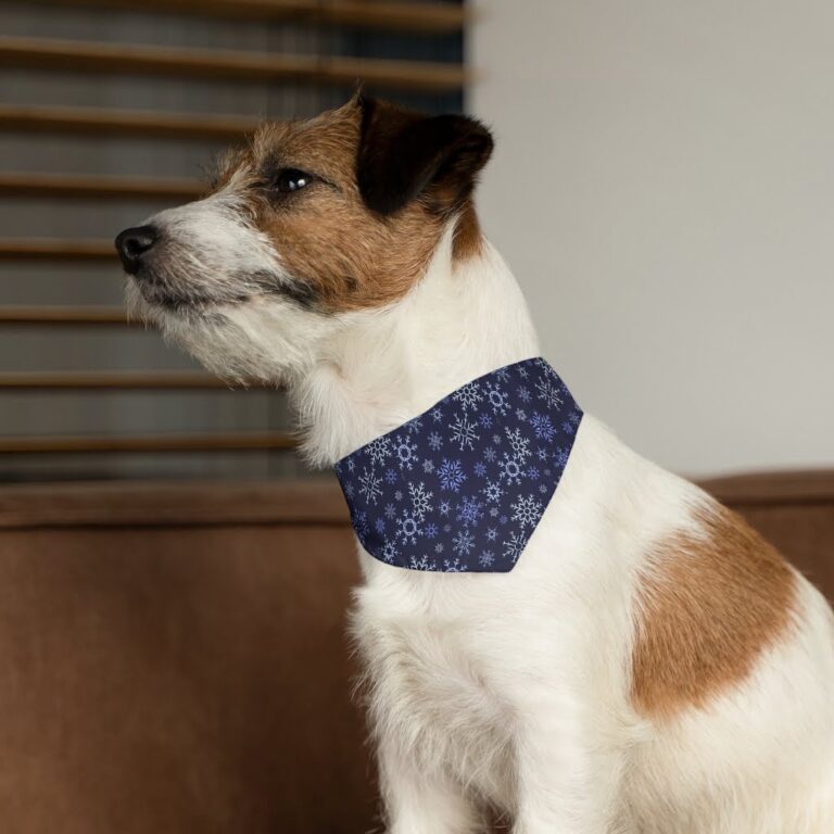 Anchor Blue Pet Bandana Collar