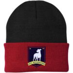 AFC Richmond Beanie Hat