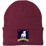AFC Richmond Beanie Hat