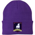 AFC Richmond Beanie Hat