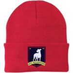 AFC Richmond Beanie Hat