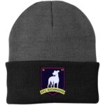 AFC Richmond Beanie Hat